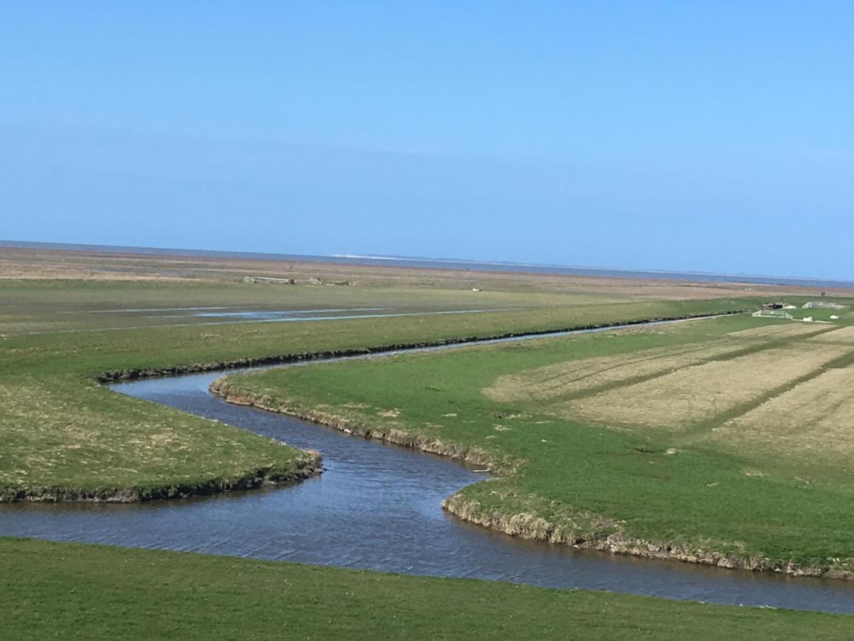Vakantiehuis 'T Laaisterplakky Zonder Drempels Oude Bildtzijl Bagian luar foto