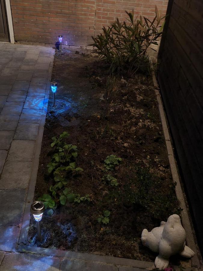 Vakantiehuis 'T Laaisterplakky Zonder Drempels Oude Bildtzijl Bagian luar foto
